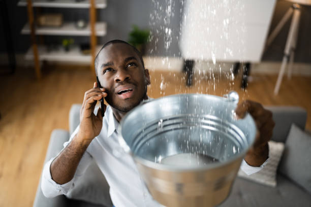 Best Local water damage restoration  in Beavercreek, OR