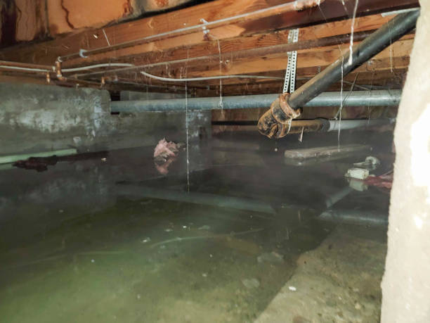 Best Water damage restoration near me  in Beavercreek, OR