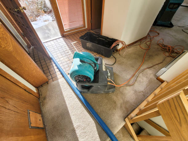 Professional Water damage restoration in Beavercreek, OR