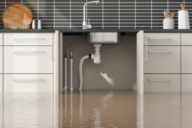 Best Residential water damage restoration  in Beavercreek, OR